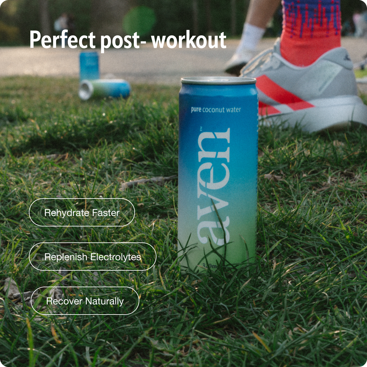 Pure Coconut Water | 12 x 320ml